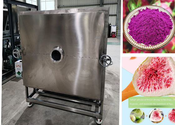 Diy Stayfresh Freeze Dryer With PLC Control System