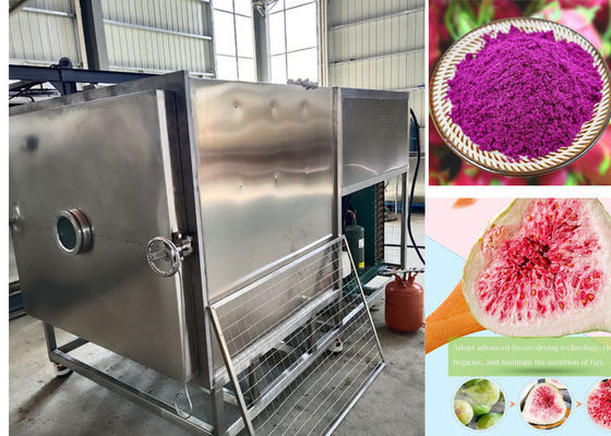 100kg / Batch Stayfresh Freeze Dryer With Air Cooling System