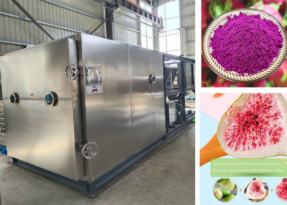 100kg PLC Controlled Stayfresh Freeze Dryer For Fast Freeze Drying