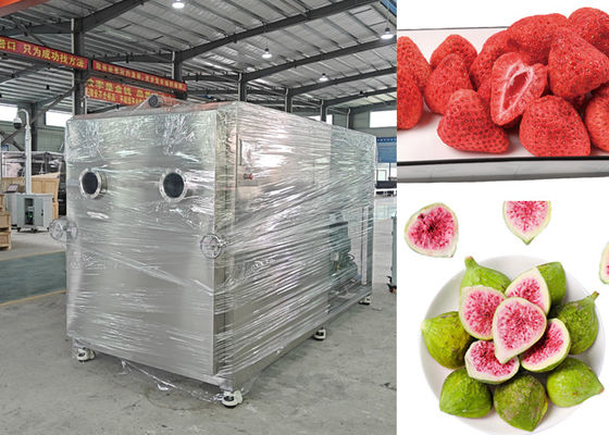 Medium Industrial Food Vegetable Freeze Dryer Machine Equipment