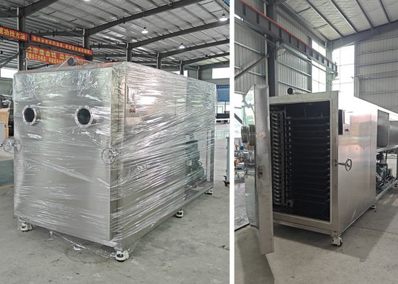 Food Fruit Vegetable Freeze Dryer with Bitzer Refrigeration System