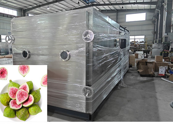 Automatic PLC Control Candy Vegetable Food Freeze Drying System
