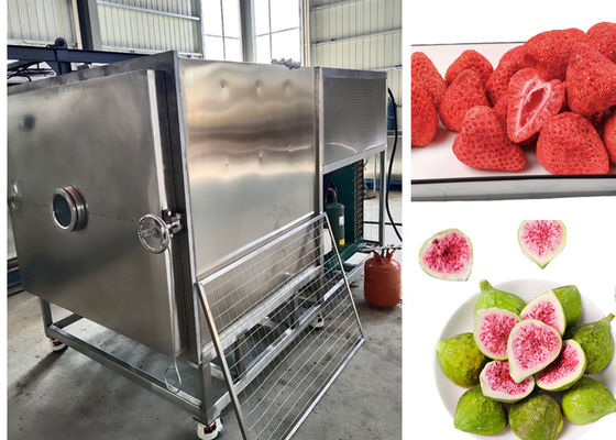 300kg/Batch Large Food Vacuum Freeze Dryer PLC Controlled