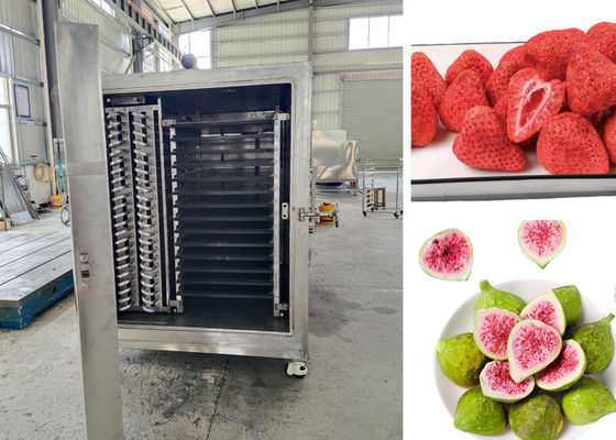 Remote PLC Control  Food Vacuum Freeze Dryer For Drying Process