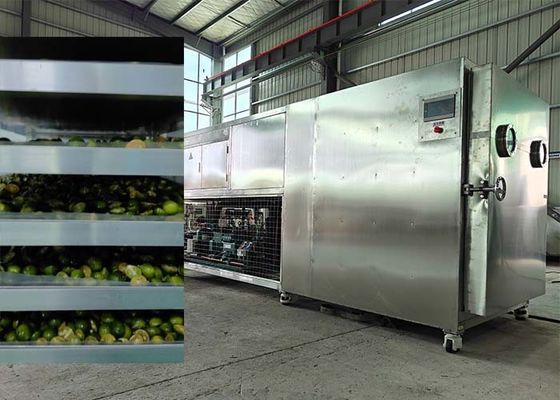 Powerful Bitzer / Leybold Refrigeration System Freeze Dryer For Fruits