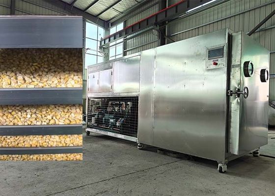 Food Freeze Dryer Fruit Machine Lyophilizer Drying Equipment