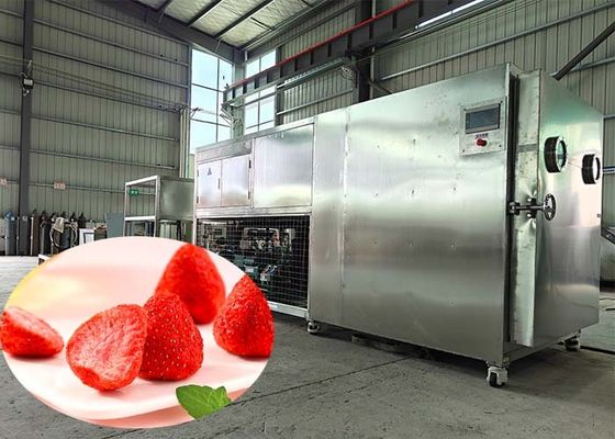 Industrial PLC Control Lyophilizer Dryer For Pharmaceutical Industry