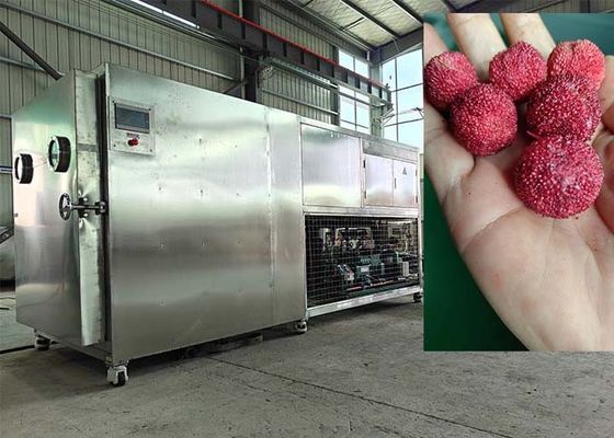 PLC Controlled Vacuum Freeze Drying Machine 30-35kg/batch