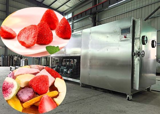 100kg/Batch Freeze Dry Machine Lyophilizer  With  PLC Control