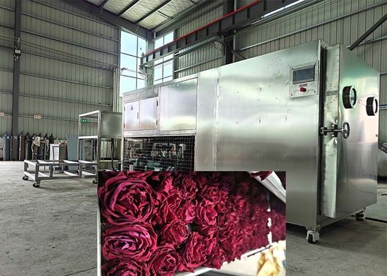 Large Industrial Freeze Dryer For Beverage And 