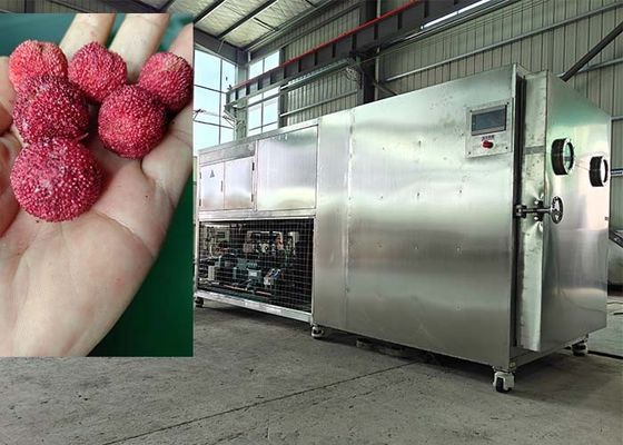 200KG Intelligient Food Lyophilizer Freeze Drying Machine
