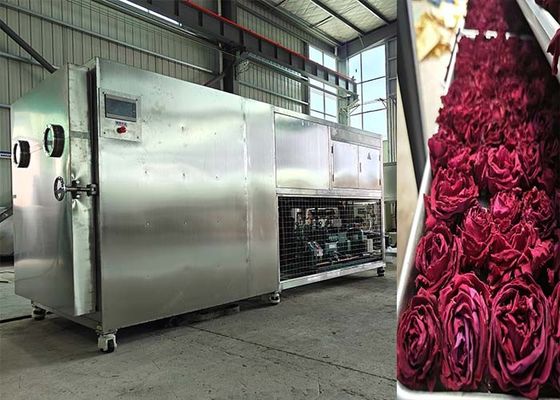 200Kg 500Kg Large Capacity Lyophilizer Freeze Dryer Machine