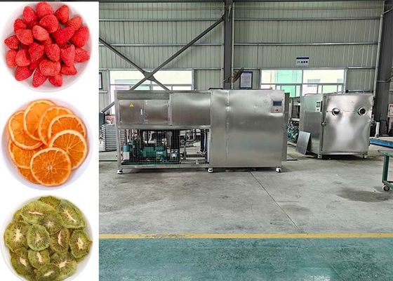 Air Cooled Freeze Dryer 30~35kg/Batch For Fruit Vegetable Drying