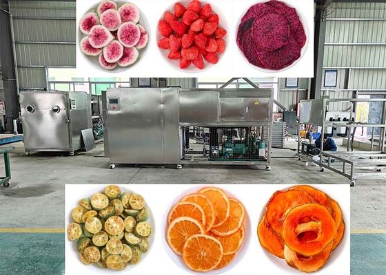OEM / ODM Food Vacuum Freeze Dryer Experience Unmatched Freeze Drying Performance