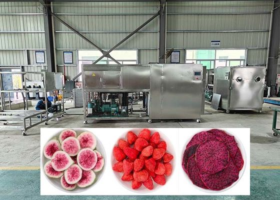 Efficiency Professional Freeze Dehydrator With Cold Trap -40℃