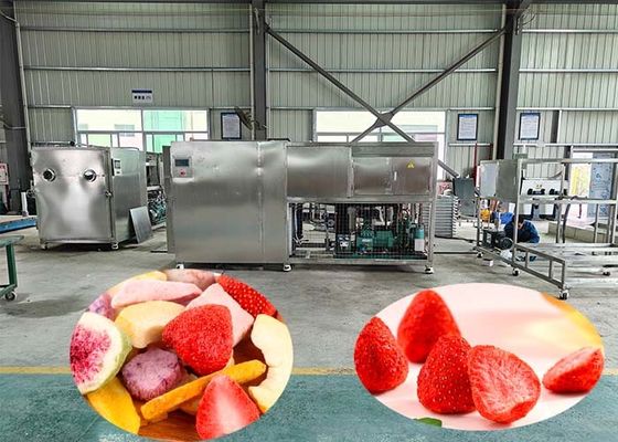 100kg Per Batch Industrial Freeze Drying Machine With 60dB