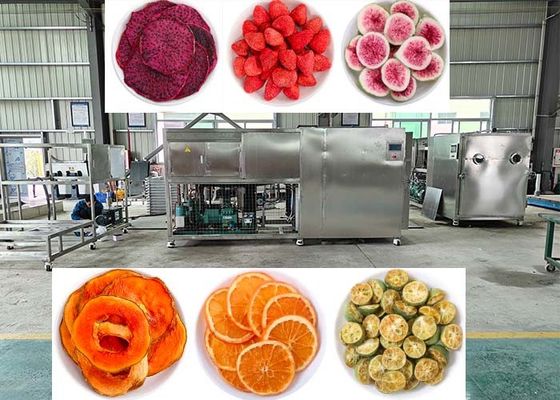 Vacuum 10Pa Freeze Dryer Lyophilizer Machine With PLC Control