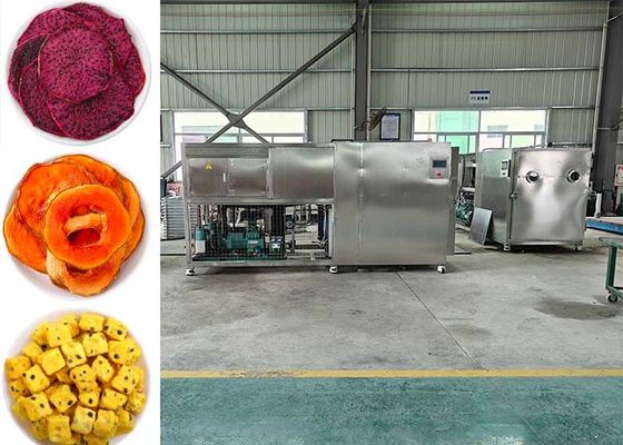 Professional Food Vacuum Freeze Dryer for Optimal Drying Results