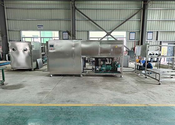 Medium Size Freeze Dryer Fruit Machine For Pet Food Milk