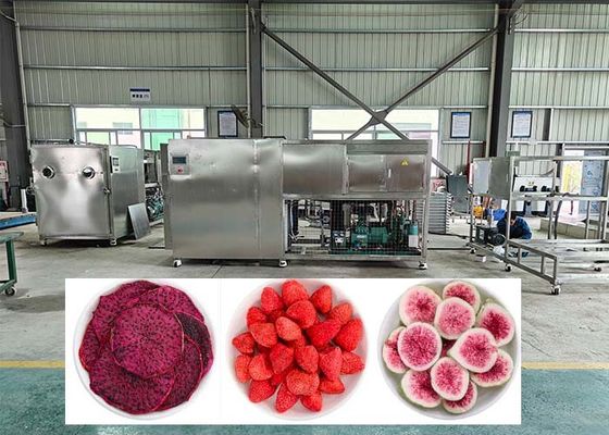 38KW Electric Heating Defrosting Lyophilizer Freeze Dryer Machine