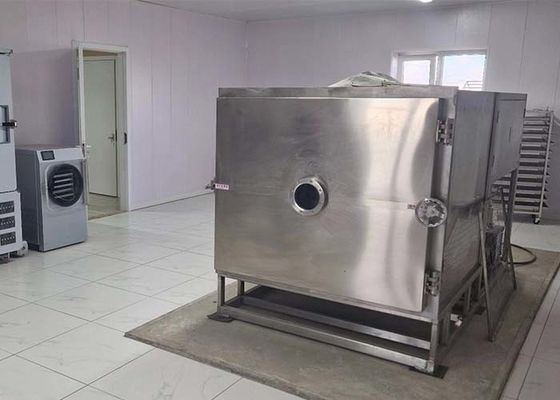 Revolutionize  Vegetable Drying Process With Vegetable Freeze Dryer