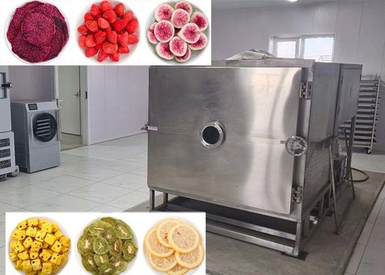 Vegetable Freeze Dryer The Perfect Choice For Drying Vegetables In Bulk