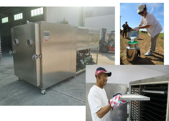 100Kg/Batch Capacity Vacuum Food Vegetable Freeze Dryer
