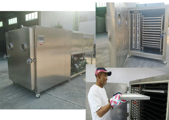 Electric Heating Industrial Vegetable Freeze Dryer Machine