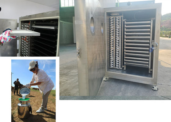 Industrial Vegetable Freeze Dryer With PLC Control System