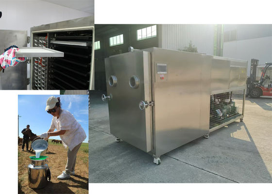100Kg Capacit Vegetable Freeze Dryer For Various Vegetable Types