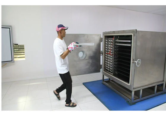 Automatic Operation Mode 100Kg Vegetable Freeze Dryer For Fast Drying
