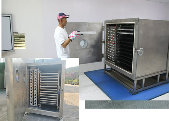 Customize Industrial Vegetable Freeze Dryer With 100KG Capacity