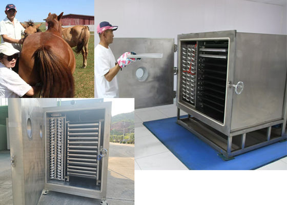 Vacuum  Vegetable Freeze Dryer With Bitzer Refrigeration Unit