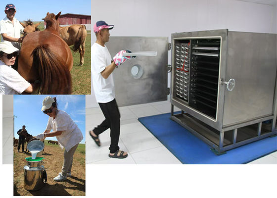 Pharma Grade Vacuum Food Freeze Dryer 100Kg 200Kg