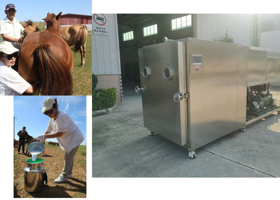 100Kg Industrial Vegetable Freeze Drying Machine 10KW/H