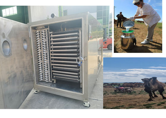 Compact Design Freeze Dry Fruit Machine With  Refrigeration System