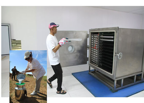 Air Cooled Food Freeze Dryer With Leybold Refrigeration System