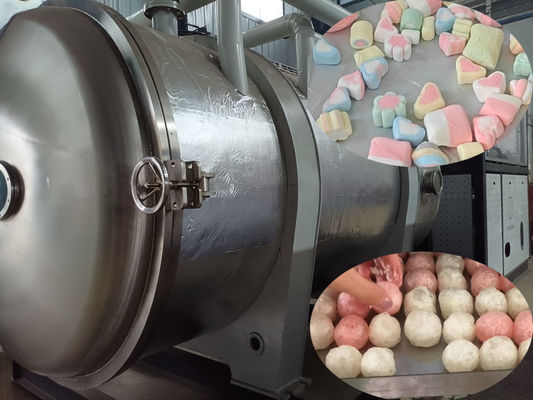 500kg Industrial Food Freeze Dryer Large-Scale Lyophilizer for Food Processing