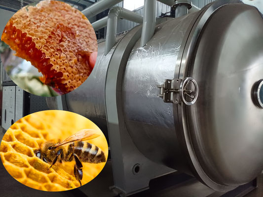 Custom Drying Industrial Freeze Dryer Equipment Freeze dry Honey