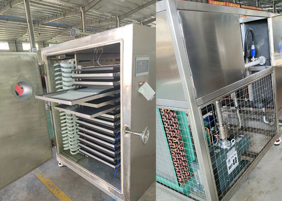 Food Preservation Food Vacuum Freeze Dryer Machine 300Kg