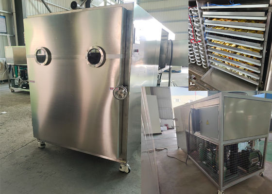 Industrial Large Food Vacuum Freeze Dryer For Precise Freeze Drying