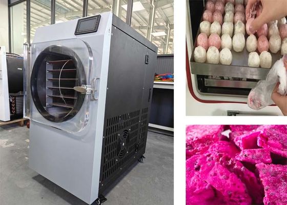 PLC Control System 304 Stainless Steel Freeze Dryer Machine For Home Use