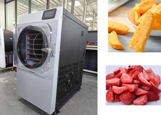 Powerful 2000W Small Freeze Dryer Machine Perfect For Freeze Drying