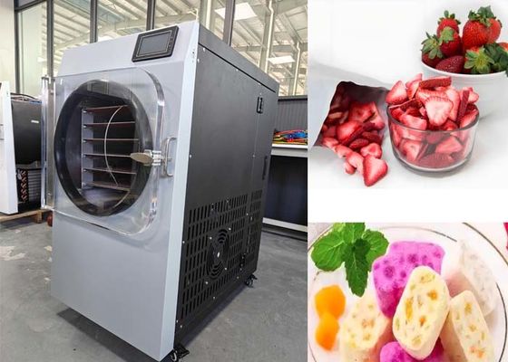 Bitzer Vacuum System Small Home Freeze Dryer For Pharmaceutical Industry