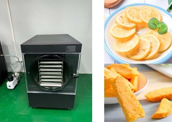 10~20KG  Refrigeration System Freeze Dryer For Home Use