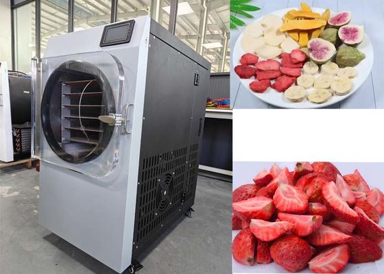 Low Noise Fast Drying Small Home Freeze Dryer With LCD Display