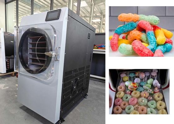 Candy Freeze Dryer Purchase Chocolate Ice Cream Freeze Drying Machine 6KG Capacity