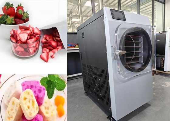 220V 20-25kg Capacity Freeze Dry Machine For Home