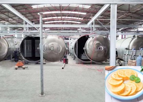 1000Kg Capacity Industrial Automatic Freeze Dryer For Food Application