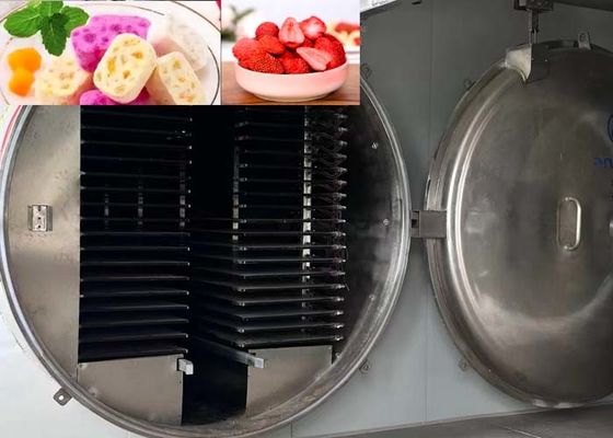 High Capacity Industrial Freeze Dryer 1000kg/batch 13Pa Vacuum Level